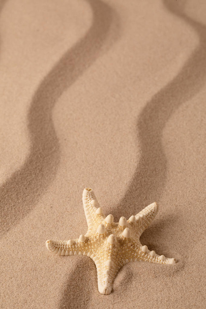 Зоряна риба на березі моря і літній пляжний пісок. Морська зірка на текстурованому фоні з відкритим простором для копіювання
.  - Фото, зображення