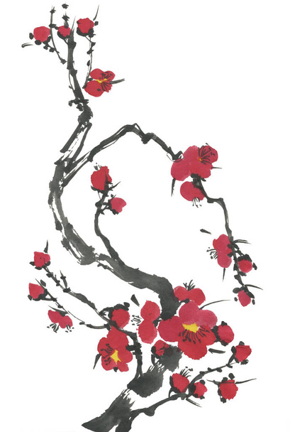 A branch of a blossoming sakura. Pink and red stylized flowers of plum mei and  wild cherry . Watercolor and ink illustration of tree in style sumi-e, go-hua,  u-sin. Oriental traditional painting. - Photo, image