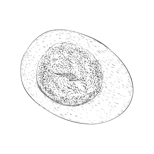 Hand drawn egg illustration vector - Вектор,изображение
