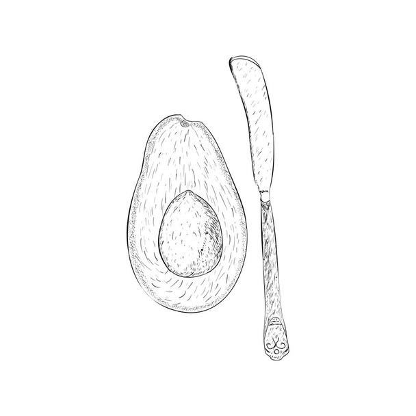 Hand drawn illustration of an avocado with knife - Vector, afbeelding
