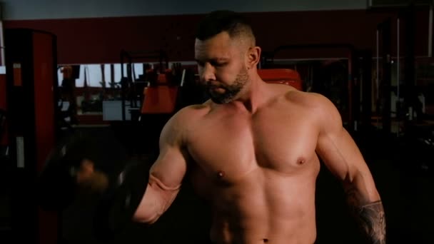 Un hombre fuerte levanta pesas en el gimnasio, sacude sus bíceps
. - Metraje, vídeo