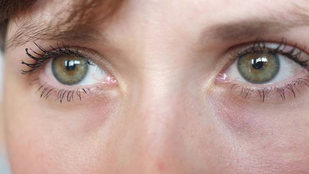 portrait of beautiful gray-green eyes of a young beautiful woman. beautiful eyes girls closeup. - Photo, Image