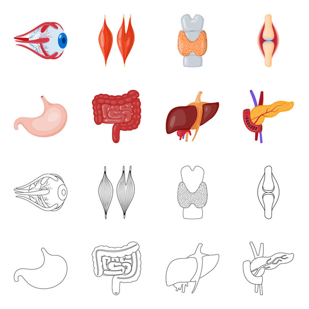 Vector illustration of biology and scientific icon. Collection of biology and laboratory stock vector illustration. - Vektor, kép