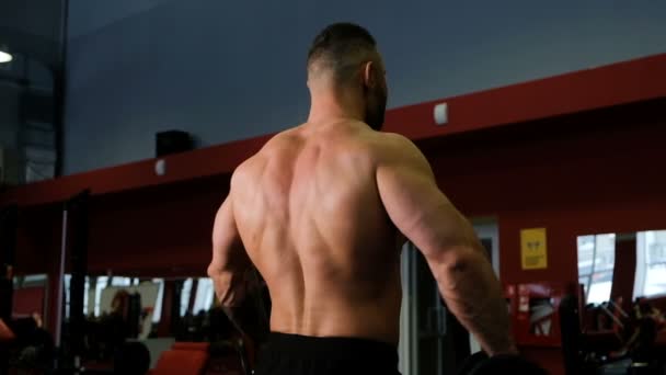 Brutális izmos ember felemeli a súlyzók, a hátulról történő lassú mozgás - Felvétel, videó