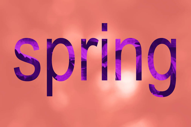 Коралловый цвет боке фон со словом Весна
 - Фото, изображение