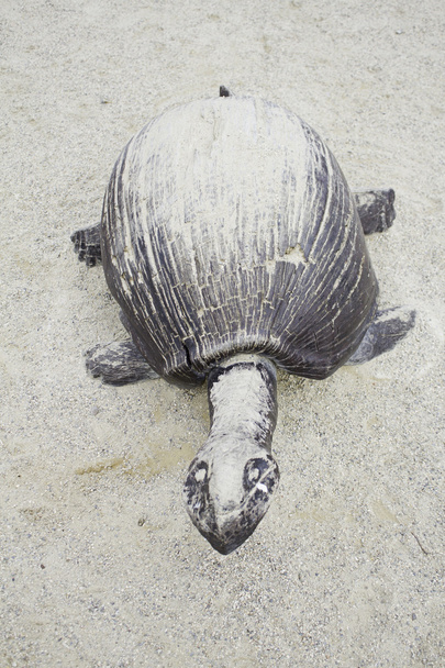Żółw leśny w piasku - Zdjęcie, obraz