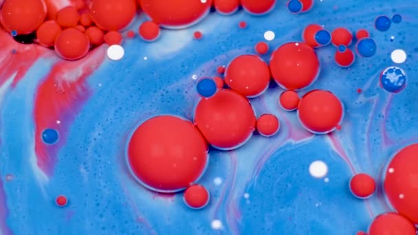 Increíbles burbujas rojas y azules de pintura en la superficie del aceite. Pintura en aceite
. - Metraje, vídeo
