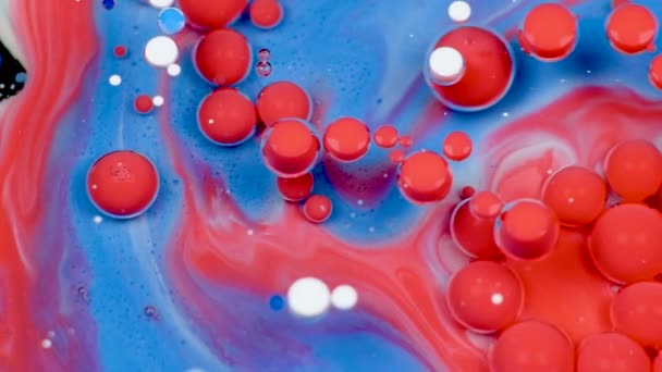 Incríveis bolhas vermelhas e azuis de tinta na superfície do óleo. Tinta em óleo
. - Filmagem, Vídeo