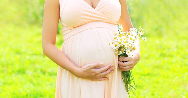 Zwangerschap concept - zwangere vrouw met chamomiles bloemen op worden - Foto, afbeelding