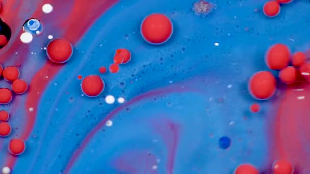 Incríveis bolhas vermelhas e azuis de tinta na superfície do óleo. Tinta em óleo
. - Filmagem, Vídeo