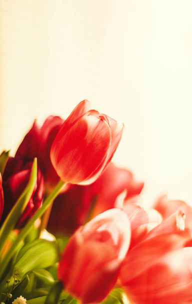 Rozjaśnić swój dzień z kwiatami - Zdjęcie, obraz