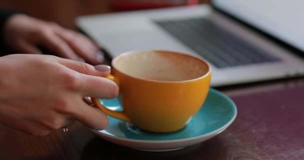 Woman hands working by laptop sitting in a cafe  - Video, Çekim