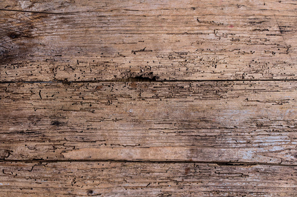 full frame view of old wooden textured background - Foto, Imagem