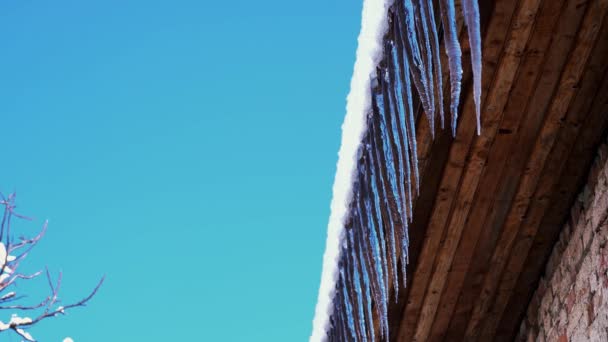 Winter ijspegels op het dak - Video