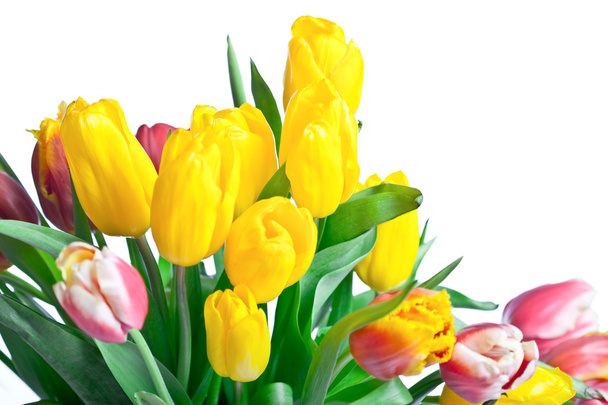 Bouquet of spring yellow tulips - Foto, Imagen