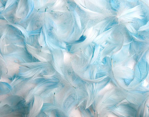 Seamless background of soft blue feathers - Foto, afbeelding