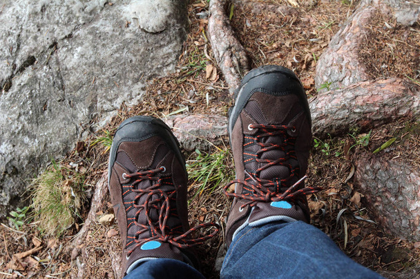 Męskie buty w lesie - Zdjęcie, obraz