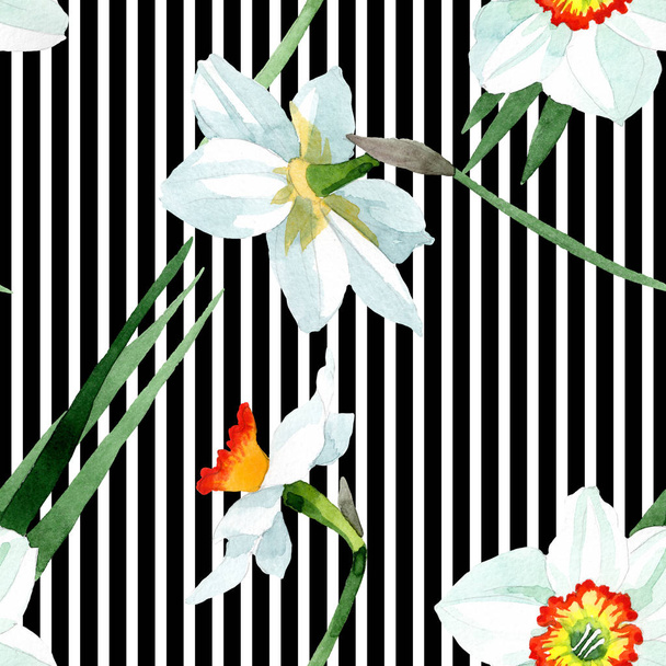 Flor botânica floral narciso branco. Conjunto de ilustração de fundo aquarela. Padrão de fundo sem costura
. - Foto, Imagem
