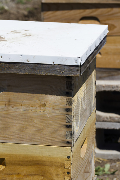 Beekeeping - Foto, afbeelding