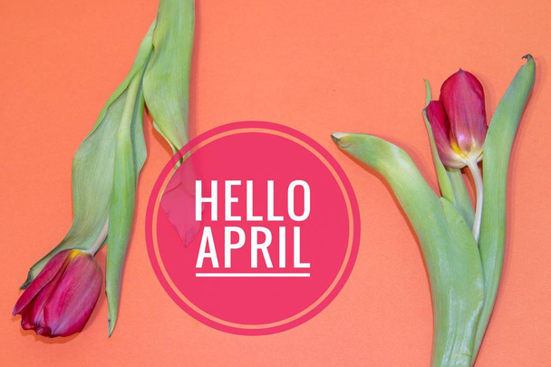 Banner hello april. Hi spring. The second month of spring. Welcome card - Fotó, kép