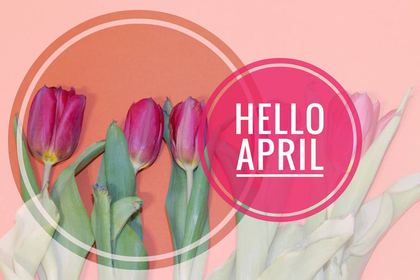 Banner hello april. Hi spring. The second month of spring. Welcome card - Foto, afbeelding