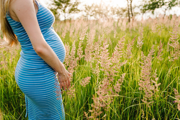 Mujer joven embarazada disfrutando del sol de verano en el campo verde
   - Foto, Imagen