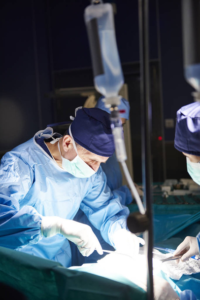 Karanlığın içinde ciddi operasyon sırasında üst düzey cerrah  - Fotoğraf, Görsel