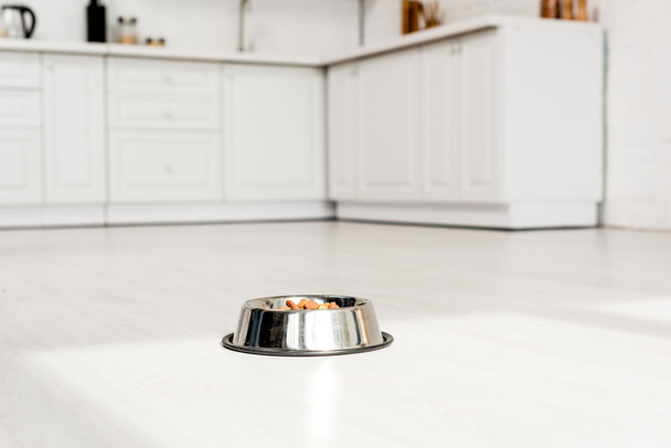 metal bowl with dog food on white floor in kitchen  - Fotó, kép