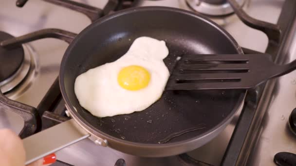 woman in home kitchen frying fried egg in pan for breakfast on gas stove - Footage, Video