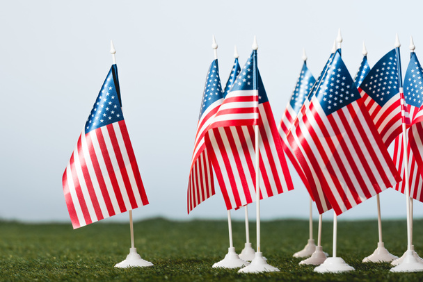 amerykańskie flagi na zielonej trawie izolowane na szaro  - Zdjęcie, obraz