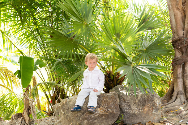little blond boy in white clothes sitting on a stone under tropical trees - Foto, immagini