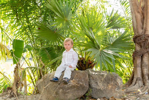 маленький блондинка в білому одязі сидить на камені під тропічними деревами
 - Фото, зображення