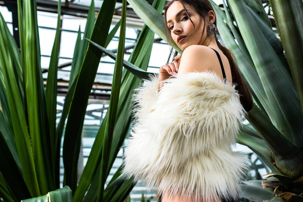 Sexy young woman in faux fur coat and underwear near plants in orangery - Photo, Image