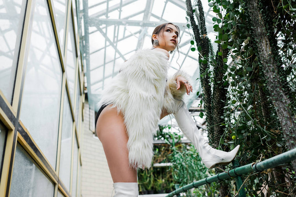 Low angle view of sexy girl in faux fur coat and underwear posing in orangery - Photo, Image