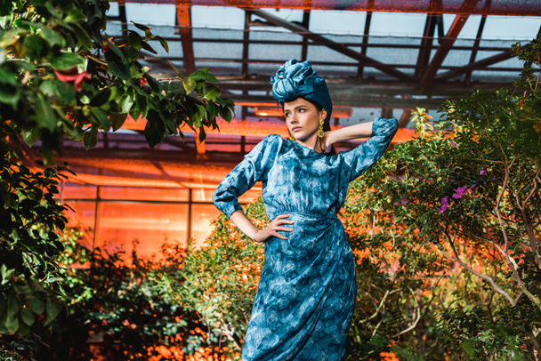 Gorgeous young woman in blue dress in turban in orangery - Fotoğraf, Görsel