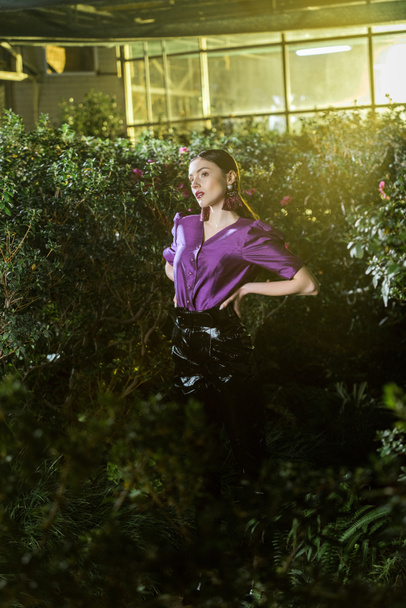 Elegant young woman in purple blouse standing with arms akimbo in orangery - Fotoğraf, Görsel