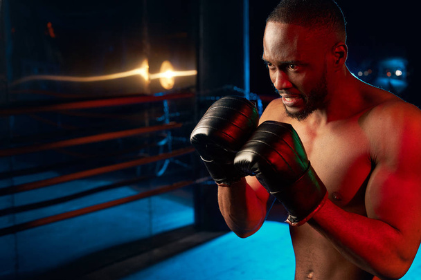 Aggressive muscular man boxing on the ring. Studio shot, red and blue light. - 写真・画像