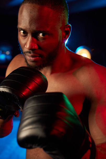 Aggressive muscular man boxing on the ring. Studio shot, red and blue light. - 写真・画像