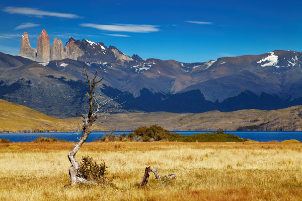 Nationaal park Torres Del Paine, Chili - Foto, afbeelding