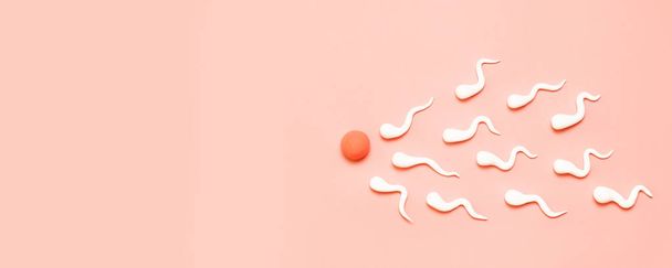 La figura dello sperma umano e dell'uovo umano
 - Foto, immagini