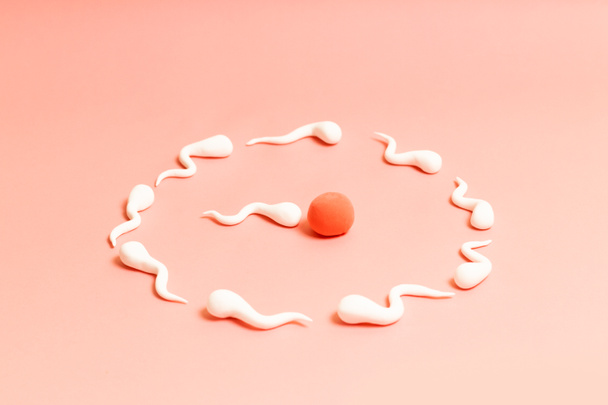 Tıbbi kavramı. İnsan sperm ve yumurta insan figürü - Fotoğraf, Görsel