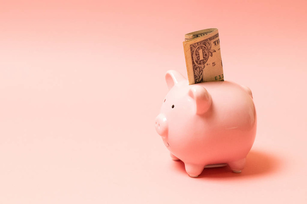 Piggy bank with dollar on living coral background. Commercial concept - Photo, Image