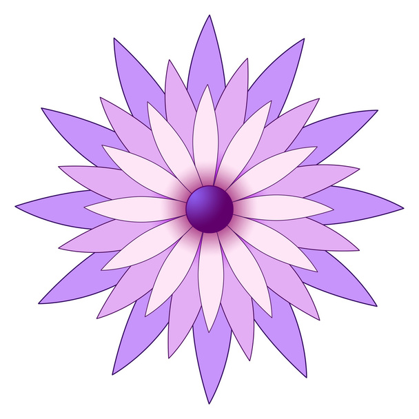 purple flower - Foto, Imagem