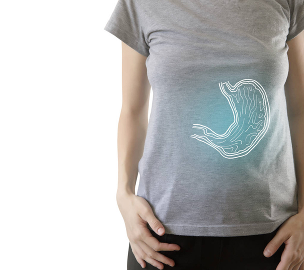 Digital composite of highlighted healthy stomach of woman  - Zdjęcie, obraz
