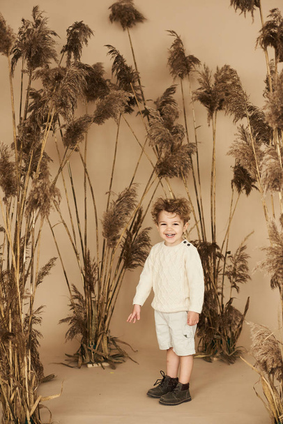 Portrait of a beautiful smiling boy playing with the  a reed on a white background - Φωτογραφία, εικόνα