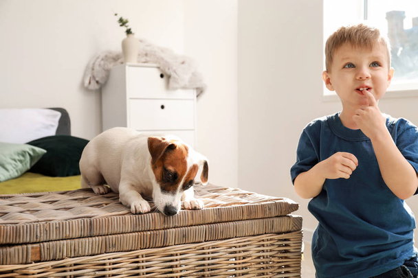 Cute little boy with funny dog at home - Photo, Image