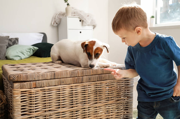 Χαριτωμένο μικρό αγόρι με αστείο σκύλο στο σπίτι - Φωτογραφία, εικόνα