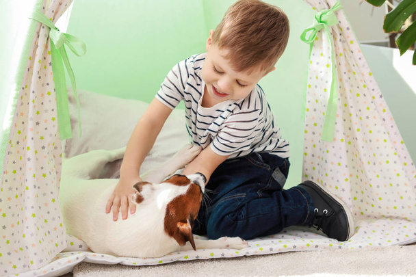 Милый маленький мальчик, играющий со смешной собакой дома
 - Фото, изображение