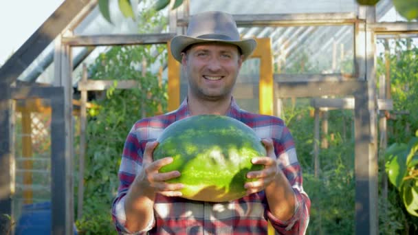Hymyilevä viljelijä tilalla Kypsä vesimeloni tausta Kasvihuone puutarhassa
 - Materiaali, video