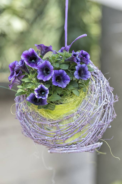 pendurado bellflower para decoração de casa
 - Foto, Imagem